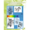 Leonardo 1 The fundamentals of Drawing