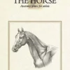 Leonardo The Horse
