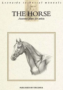Leonardo The Horse