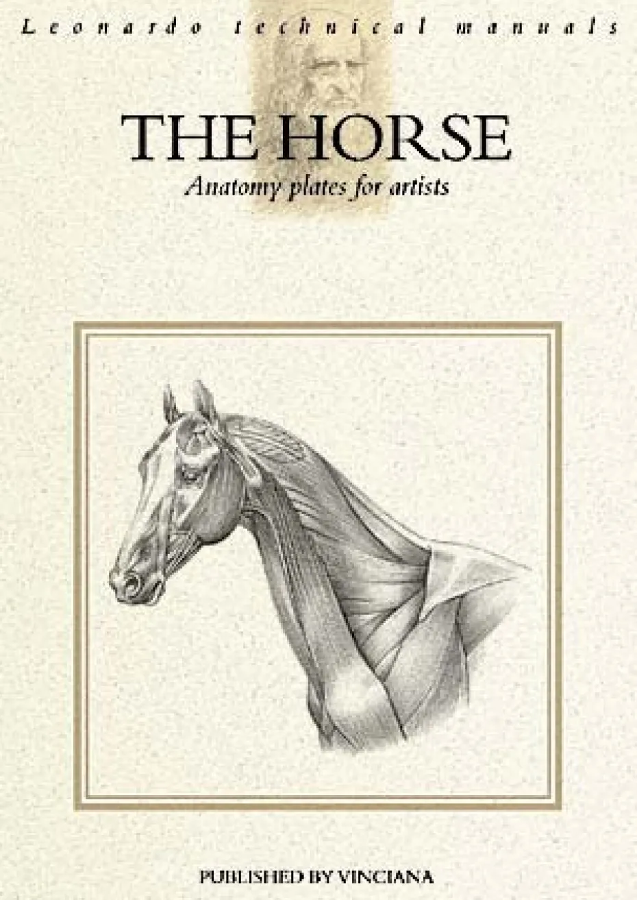 Leonardo The Horse