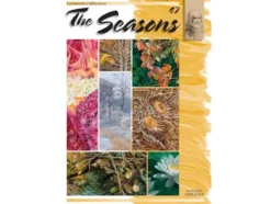 Leonardo 47 The seasons