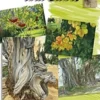 Leonardo 45 Trees and leaves