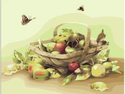 Mal etter nummer – Sommerfrukt
