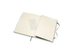 Moleskine Classic Notebook Hard XL – Linjert Myrtle Green