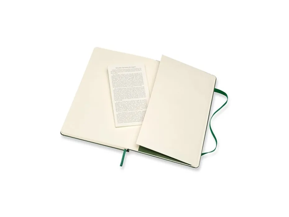 Moleskine Classic Notebook Hard L – Ruter Myrtle Green