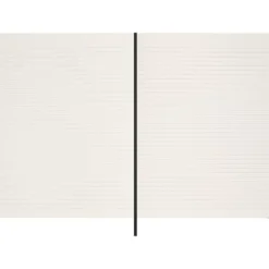 Moleskine Notebook LE Holiday Shine Hard Linjert XL Reed Set