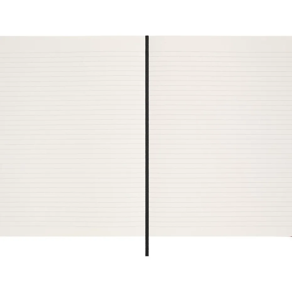 Moleskine Notebook LE Holiday Shine Hard Linjert XL Reed Set