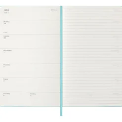 Moleskine Planner 2025/26 18m Hard L Uke Notat – Aqua