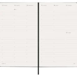 Moleskine Planner 2026 12m Hard L Uke Vert – Black