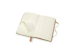 Moleskine Voyageur Notebook Hard M – Elm Green