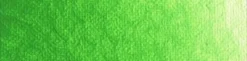 New Masters 60ml, B701 Old Holland Green Light