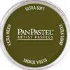 PanPastel – 8026801 680.1 Bright Yellow Green Ex Dark