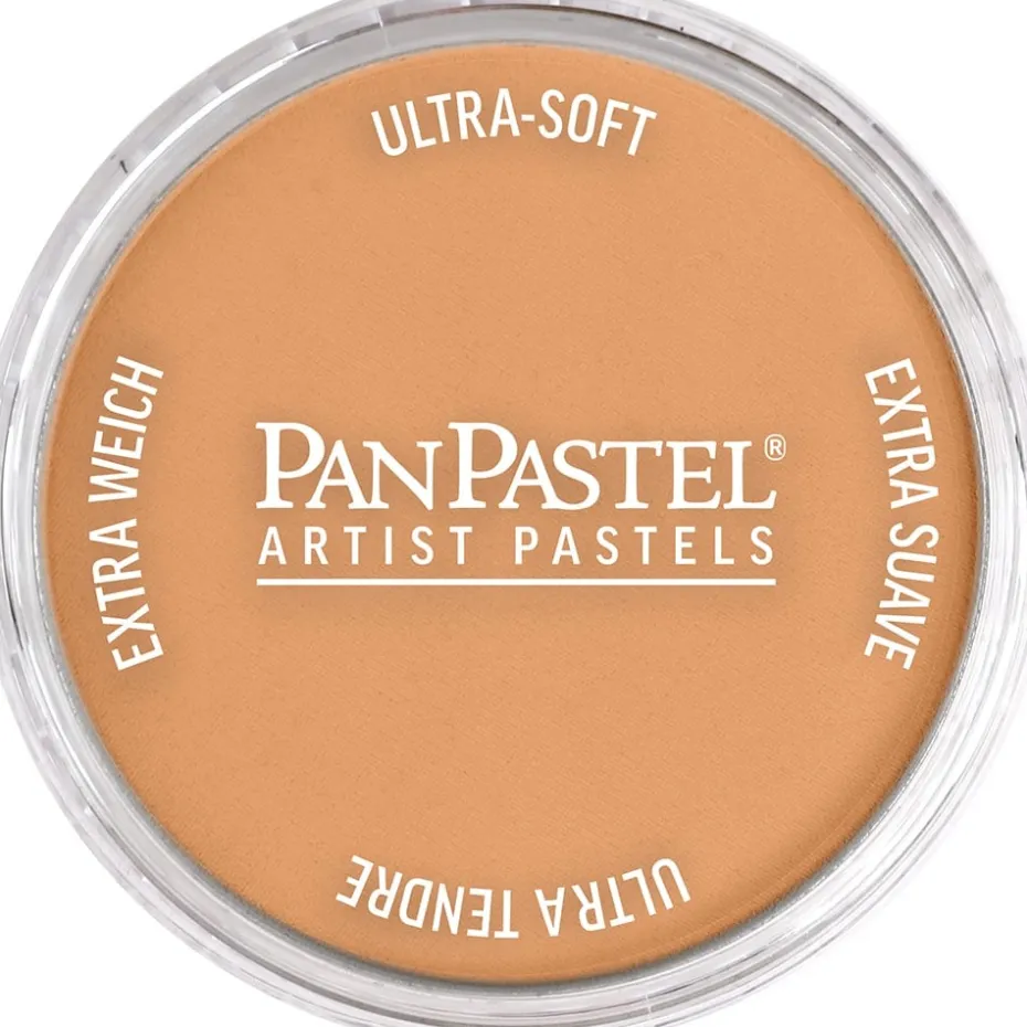 PanPastel – 8029305 930.5 Bronze