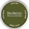 PanPastel – 8022201 220.1 Hansa Yellow Extra Dark