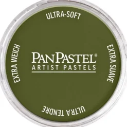 PanPastel – 8022201 220.1 Hansa Yellow Extra Dark