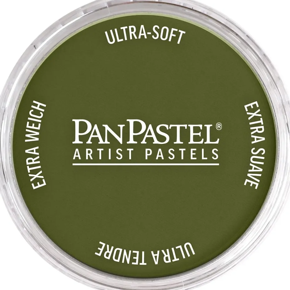 PanPastel – 8022201 220.1 Hansa Yellow Extra Dark