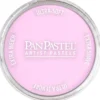 PanPastel – 8024308 430.8 Magenta Tint