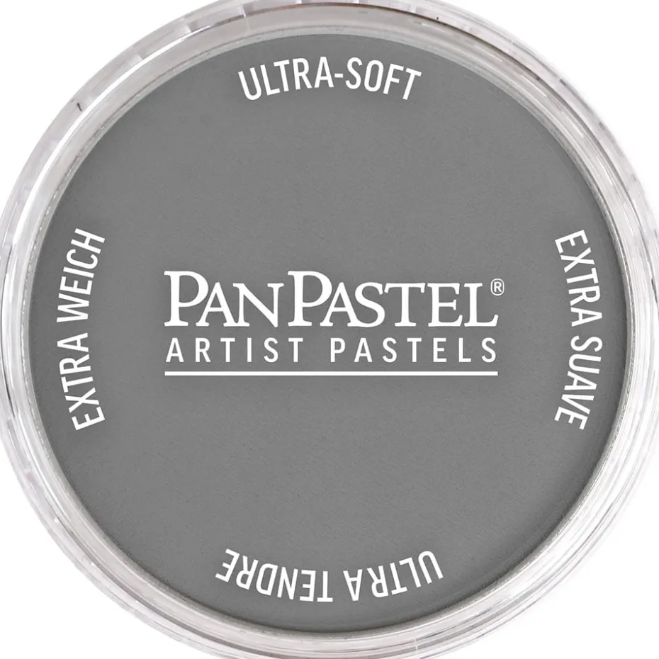 PanPastel – 8028205 820.5 Neutral Gray