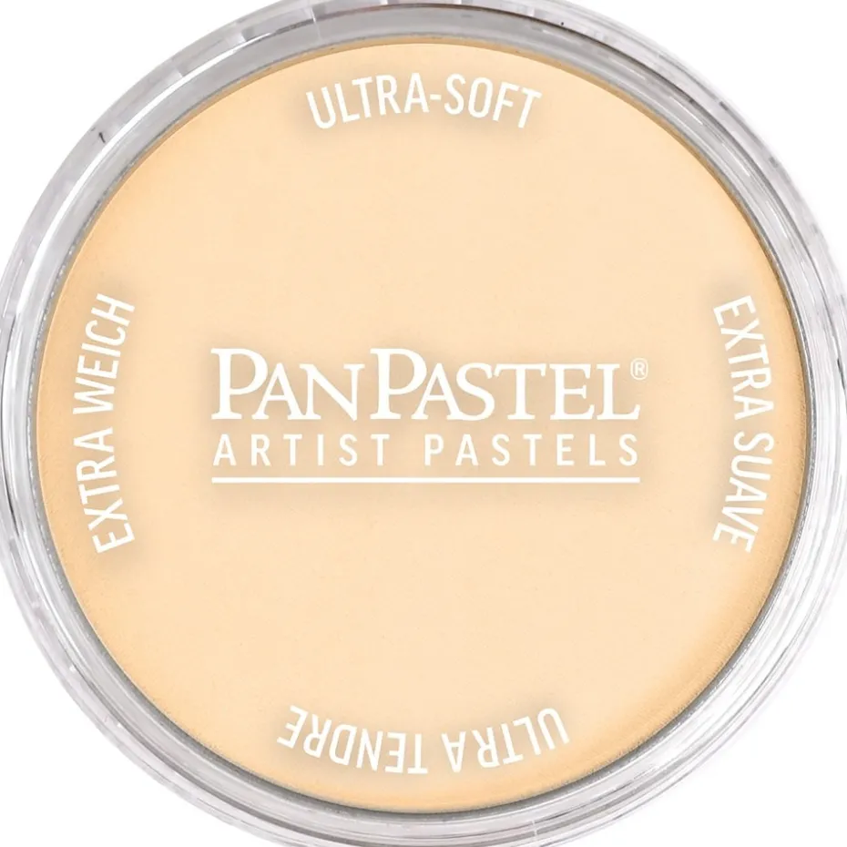 PanPastel – 8022808 280.8 Orange Tint