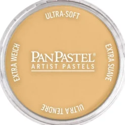 PanPastel – 8029115 911.5 Rich Gold