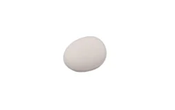 Plastegg – 40x30mm