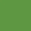 Playcut Hobbykartong A6 – Gressgrønn – 100ark