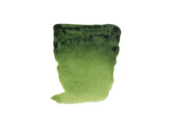 Rembrandt Akvarell Halfpan – 623 sap green