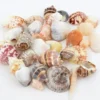 Skjellmix store ca 250g