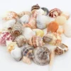 Skjellmix store ca 500g